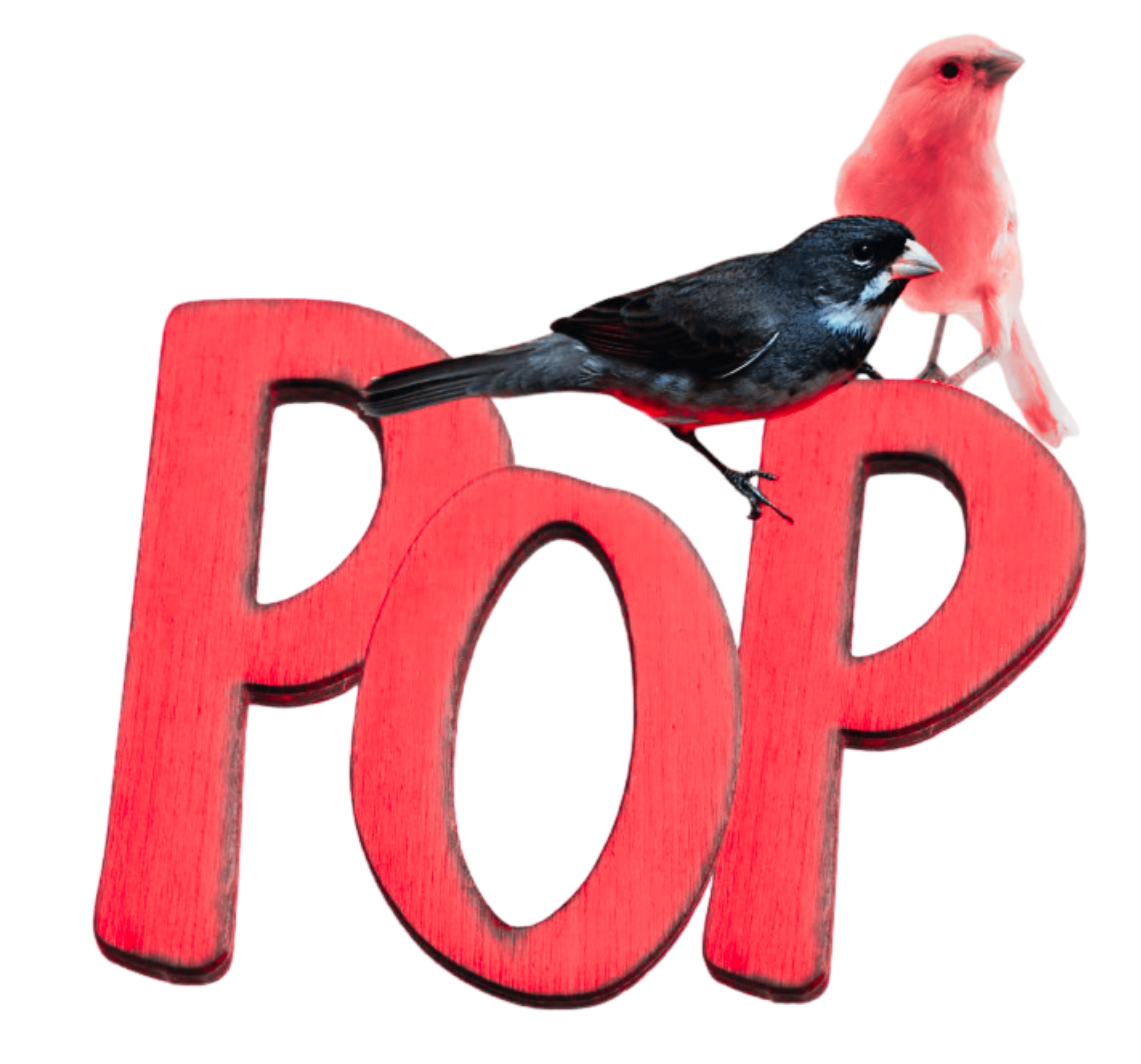 Pop