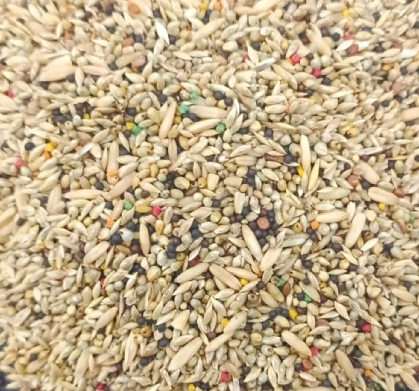 Vitamina Amarela aberto